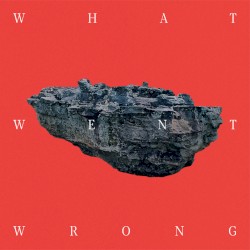 What Went Wrong
