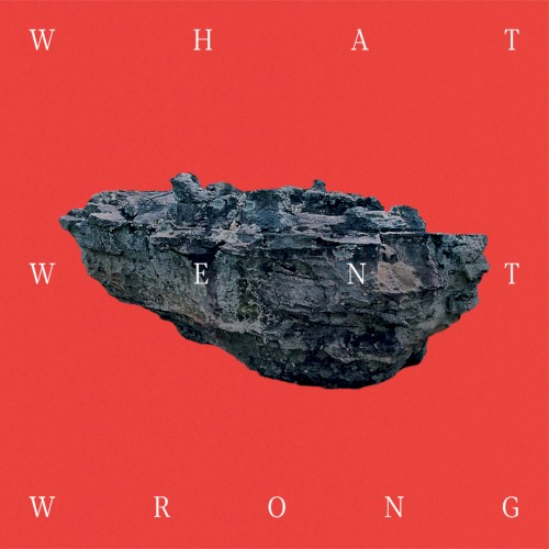 What Went Wrong