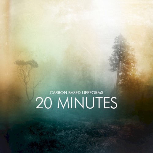 20 Minutes