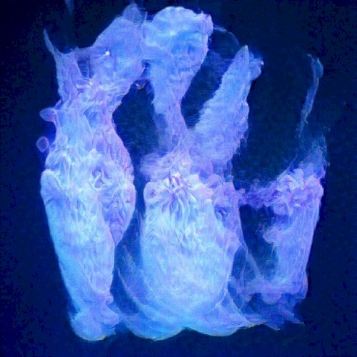 cylces 7