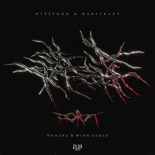 Point (NVADRZ & WINK remix)