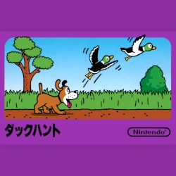 Duck Hunt