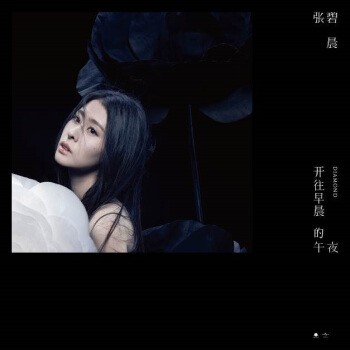 开往早晨的午夜