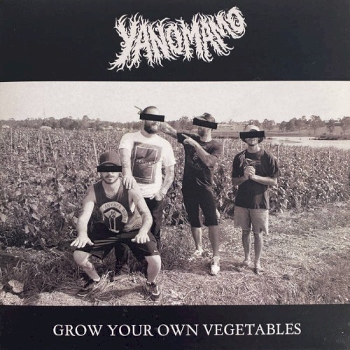 Grow Your Own Vegetables