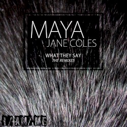 What They Say (The Remixes)