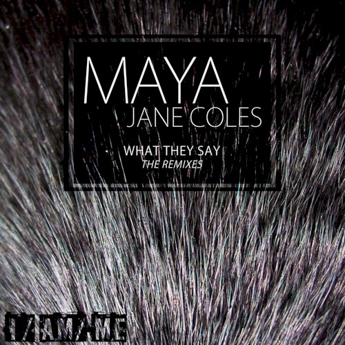 What They Say (The Remixes)