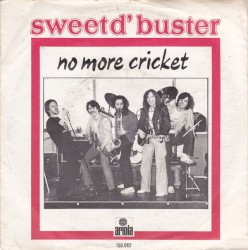 No More Cricket / Still Believe