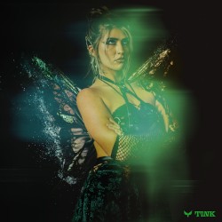 Tink