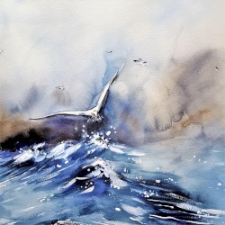 Early Bird