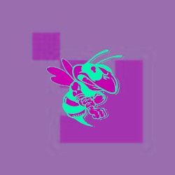 next lobit mix