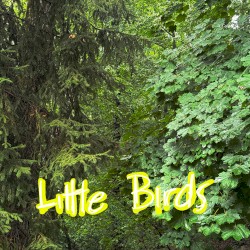 Little Birds