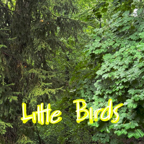 Little Birds