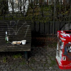 frühling mit dir