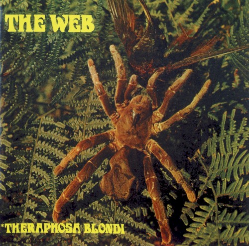 Theraphosa Blondi