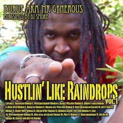 Hustlin' Like Raindrops Vol.1