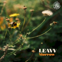 Morrow