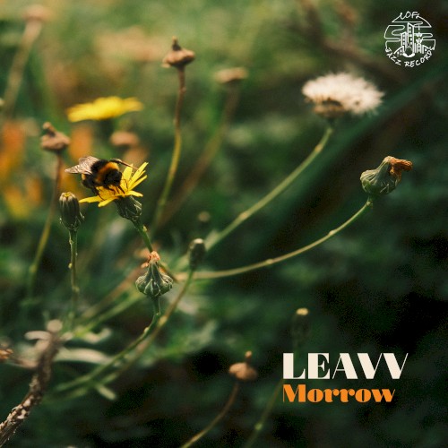 Morrow