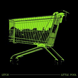 Little Fool