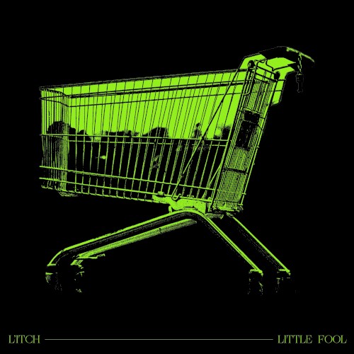 Little Fool