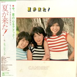 夏が来た!