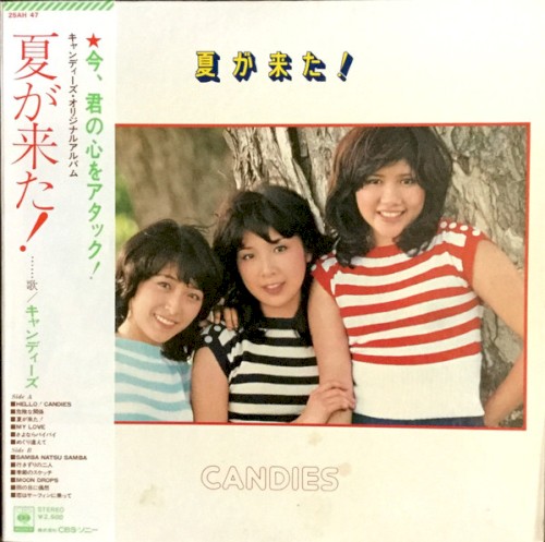 夏が来た!
