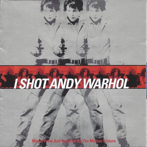I Shot Andy Warhol