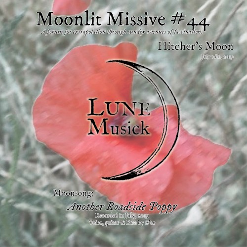 Moonlit Missive #44