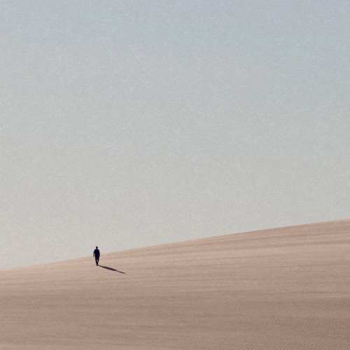 Shadow of the Colossus
