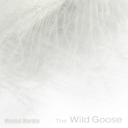 The Wild Goose