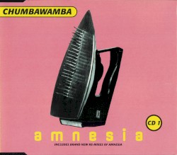 Amnesia