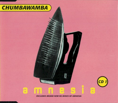 Amnesia