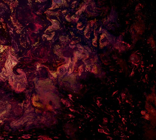 Rhizome