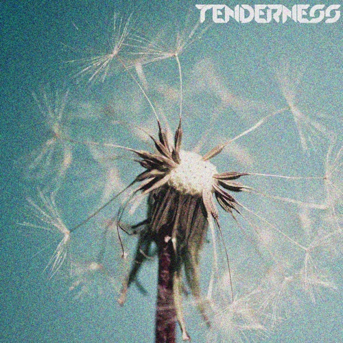 The Power of Love: Tenderness