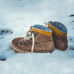 Snow in My Shoe