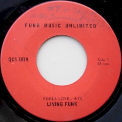 Fools Love / Silver Black Summer Day