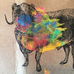 The Ox of Oh
