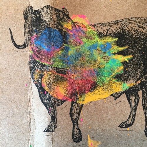 The Ox of Oh