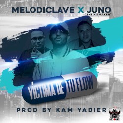 Víctima de tu flow