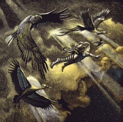 O Vento que Lambe as miñas Feridas