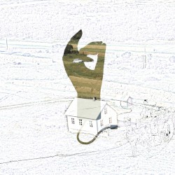 Stigmancy