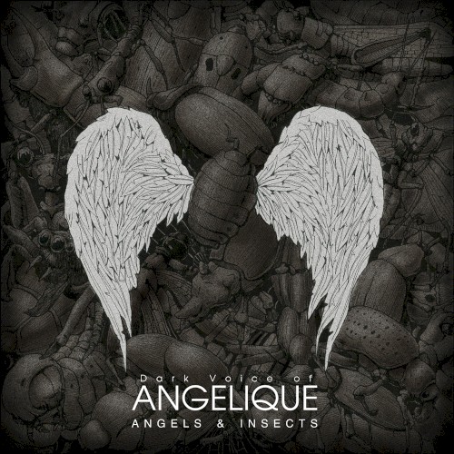 Angels and Insects