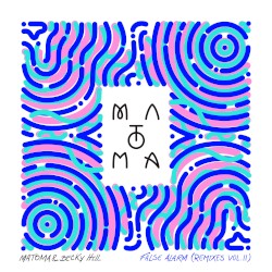False Alarm (Remixes Vol. II)
