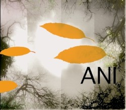 ANI