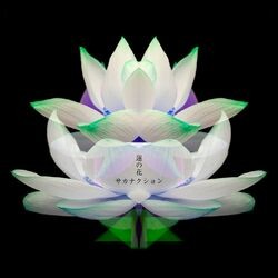 蓮の花 -movie version-