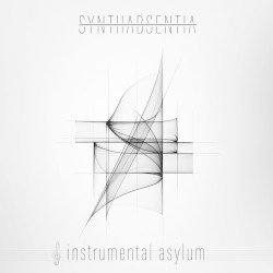 Instrumental Asylum