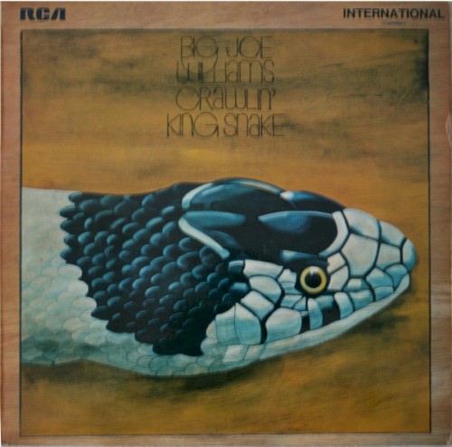 Crawling King Snake