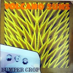 Bumper Crop