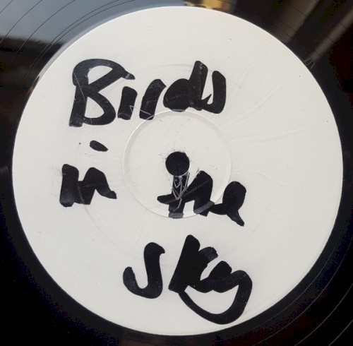 Birds in the Sky