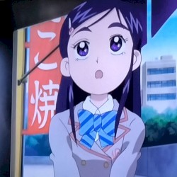 テレビのふたりはプリキュア