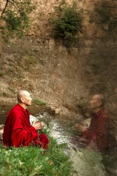 Finding Balance Is a Party Without Entertainment